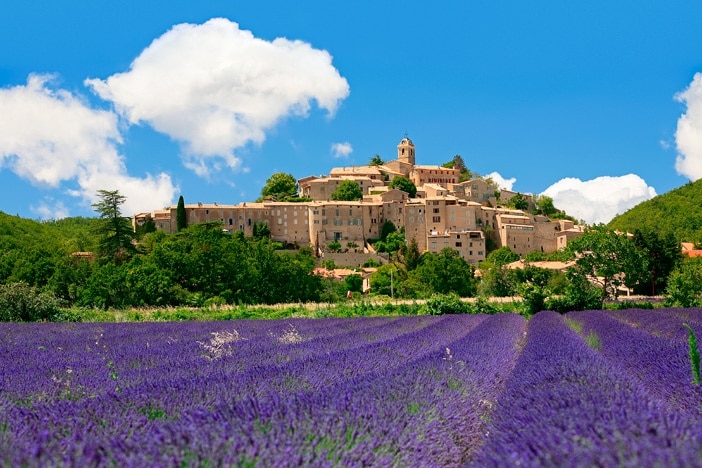 Fields of lavender