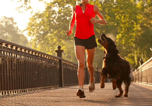 running and traveling with your pets