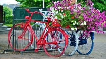 Holland colorful bike parking