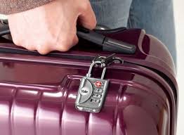 Organize Your Hand Luggage in Safety