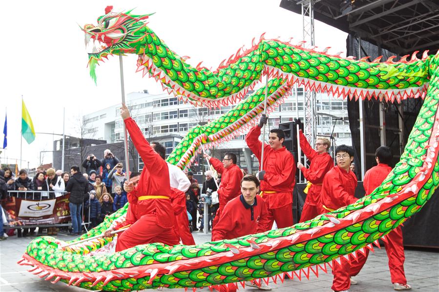Chinese Special Events In The Netherlands