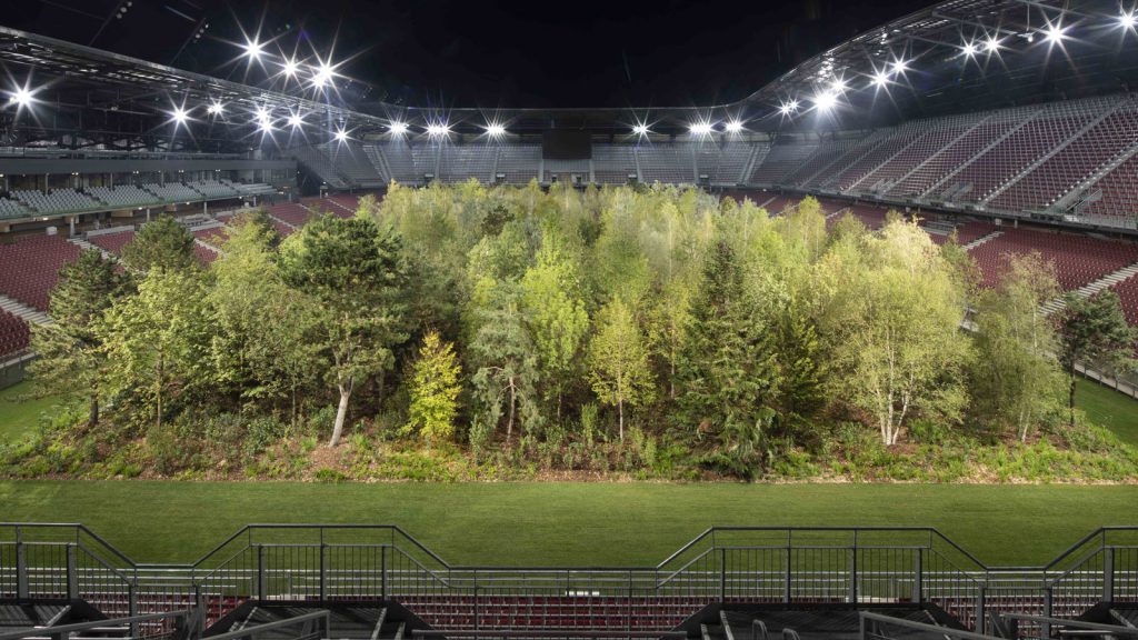 A Forest In A Football Stadium, Netherlands