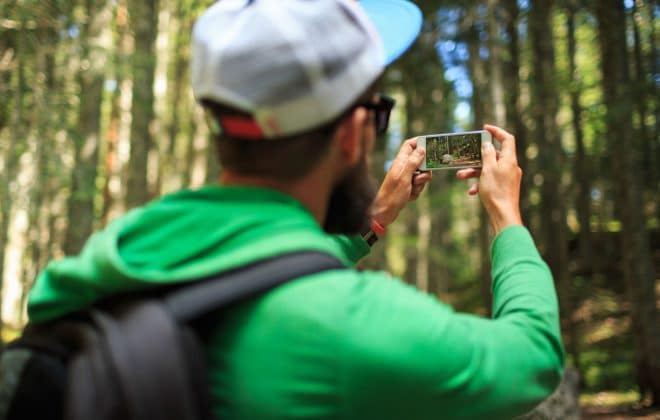 taking photo of a forest