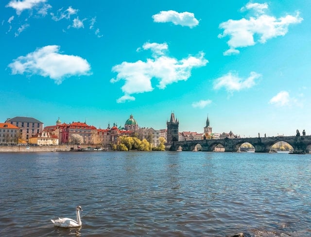 Prague Czech Republic and a swan swimming