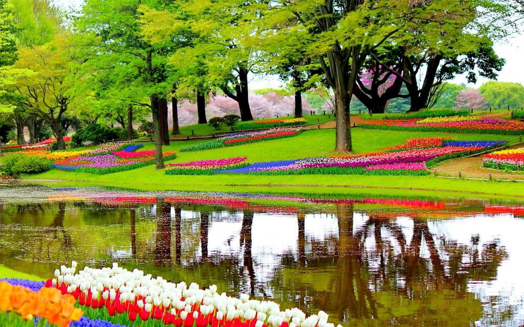 Keukenhof Gardens, The Netherlands