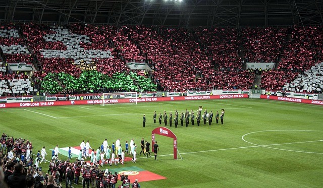 Groupama Soccer Stadium, Lyon