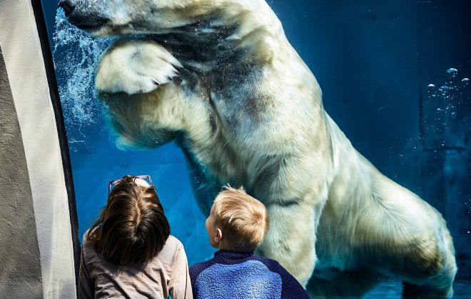 zoo aquarium with a kid touching