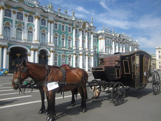 A horse and carriage in Palace Square St. Petersburg