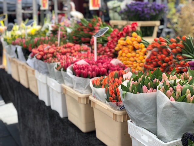 Tulips Farmer's Market In Amsterdam